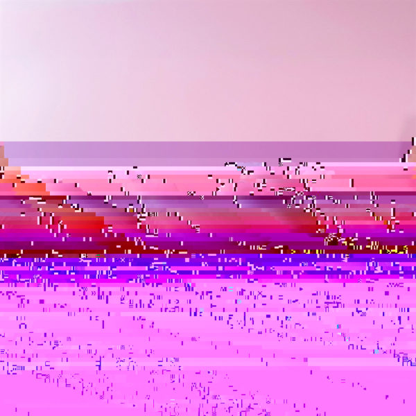 变色花圆珠笔