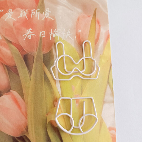 四合一内衣纸夹套装-图片4